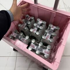 4 Tekerlekli, Pembe, 32L Standart Boy, Sabit Tutacaklı Alışveriş Arabası - Pazar Arabası