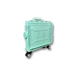 4 Tekerlekli Yeşil, 38L Orta Boy, Hareketli Alüminyum Tutacaklı Alışveriş Arabası